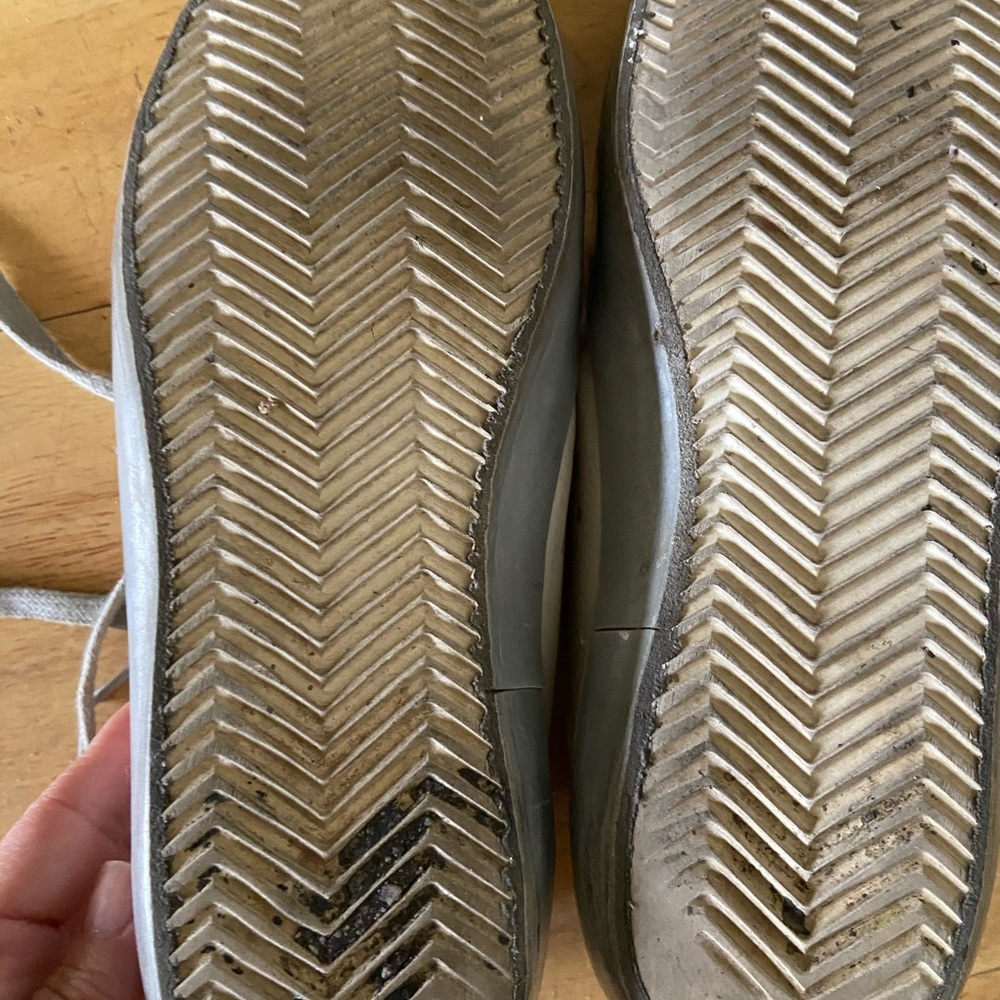 Golden goose - Picture 5 of 12